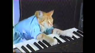 Keyboard Cat 10 HOUR LOOP  W weird ending [upl. by Toille]