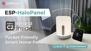 ESPDemo CostEffective Smart Home Panel with ESP32C2 [upl. by Eceinaj679]