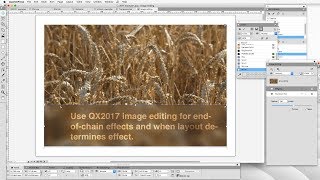 26  DTP with QuarkXPress New features in QuarkXPress 2017 [upl. by Ynittirb]