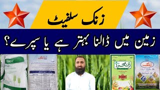 Significance of Soil Application of Zinc Sulphate in Wheat  Bilal Kanju Official [upl. by Innavoeg180]