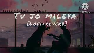 TU JO MILEYA  LOFI  REVERB SLOWED SONG  lofimusic viral song romanticmusic punjabisong [upl. by Lewak]