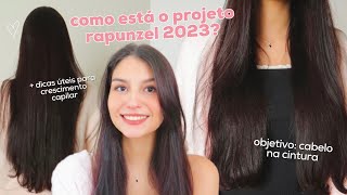 RESULTADOS 6 MESES DE PROJETO RAPUNZEL  Como eu fiz para o meu cabelo crescer  dicas crescimento [upl. by Swagerty]