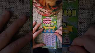 100 dollar gamble florida lotto tickets [upl. by Kimura675]