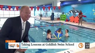 Goldfish Swim School [upl. by Drawd]