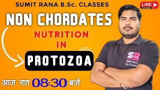 Nutrition In Protozoa  Non Chordates  Sumit Rana Sir [upl. by Haggai]