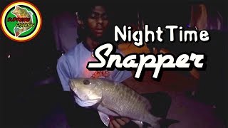 Night Time Mangrove Snapper Fishing [upl. by Urbannal]