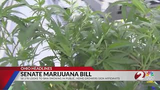 Ohio senators seek changes to adultuse cannabis but no progress yet [upl. by Sergu]