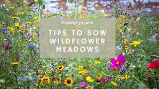 10 tips for sowing a WILDFLOWER MEADOW yes I am planting another one 🌱🐝💛 [upl. by Auahsoj]