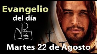 EVANGELIO DEL DÍA Martes 22 de Agosto 2017 l Palabra de Vida Padre Carlos Yepes [upl. by Wolsniw]