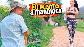 Comigo é assim eu planto a mandioca mesmo [upl. by Frick927]