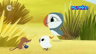 Puffin Rock theme song Latin Spanish Eureka tu canal airing [upl. by Hamilton]