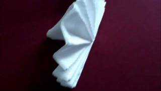 Napkin folding  Fan 1 [upl. by Secunda]