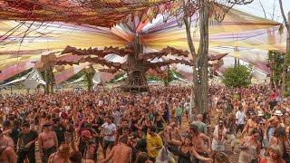 Darwish Live  OZORA festival 2016 [upl. by Ateiluj]