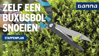 Buxusbol snoeien  Tuinvideos  GAMMA België [upl. by Menides]