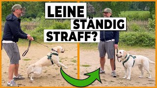 Hund an der Leine führen I So bleibt die Leine locker [upl. by Aileme]