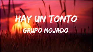 Hay un tonto  Grupo Mojado LetraLyrics [upl. by Betta782]