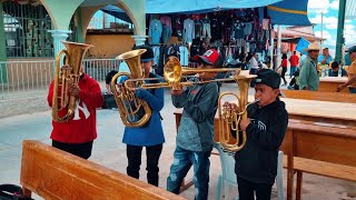 🎺🔥 Banda de Viento  Virgen de Guadalupe  Del Platanar Guerrero [upl. by Mayeda373]