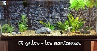 8 Tips For Building A Low Maintenance 55 Gallon Aquarium [upl. by Adnanref]