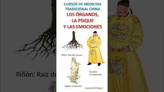 Curso quotLos órganos la psique y las emocionesquot MTC medicinachina psicologia saludybienestar [upl. by Marigolde477]