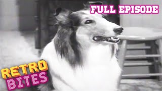 Lassie full episodes  The Bonnet  30 Minutes  Old Cartoons [upl. by Aicenra]