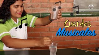 Cuerdas musicales  Experimentos de ciencia para niños [upl. by Wexler]