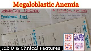 Megaloblastic Anemia 22  Lab D amp Clinical Features [upl. by Danell210]