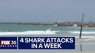 Four shark attacks in a week at Central Florida beaches [upl. by Repard934]