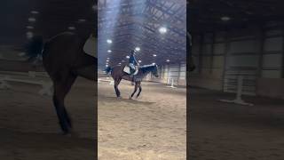 IEA vlog trainforgolden [upl. by Nereus58]