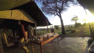 Dunia Camp  Serengeti Migration Area  Tanzania  Expert Africa [upl. by Jerz13]