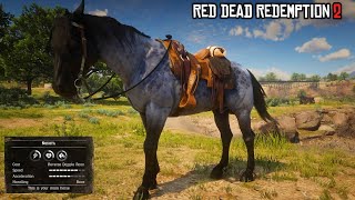 The only Horse you need  Reverse Dapple Roan Nakota  RDR2  PS4 Slim [upl. by Fabrianne591]