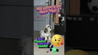 कोई बताएगा मैं क्या बोलना चाहता हूं  Someone Tell Me What I Want To Say  Charlie Banega Don 🐕 [upl. by Ace789]