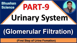 PART 9 Urinary System  Glomerular Filtration  B Pharm GPAT Nursing Medical [upl. by Ihcalam]