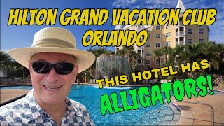 This Hotel Has ALLIGATORS Hilton Grand Vacation Club  Sea World [upl. by Sargent]