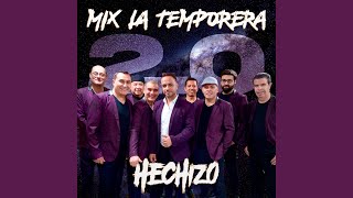 Mix La Temporera 20 [upl. by Eilerua384]