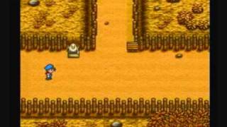 Lets Play Harvest Moon  Part 28  Erntedankfest [upl. by Drisko602]