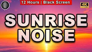 Sunrise Noise  Fall Asleep Fast  BLACK SCREEN 12 Hours Anxiety Relief Tinnitus Relief [upl. by Almallah]