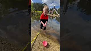 CATCHiNG NEWtS shortvideo family fun youtube youtubeshorts beauty wildlife [upl. by Pheni670]