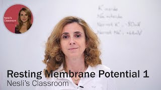 Resting Membrane Potential lecture part 1 [upl. by Ingeborg413]