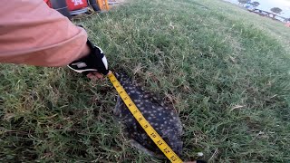 Flounder Fishing at Seawolf Parklurefishing flounder texas [upl. by Anyer]