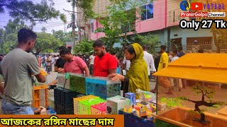 Aquarium Fish Price In katabon 2024 Aquarium Fish Price  Aquarium 😱 Aquarium Fish Price In Khulna [upl. by Ginni]