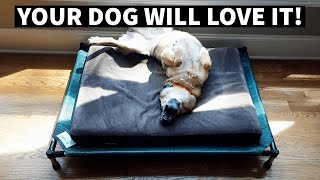 How To Build A DIY Elevated Dog Bed  MPM  085 [upl. by Drucie]