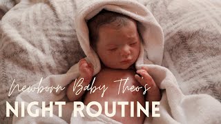 NEWBORN BABY THEOS NIGHT ROUTINE I REBORN LIFE [upl. by Drofub]