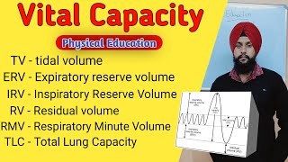 What is Vital Capacity VC  Tidal Volume Inspiratory Reserve Volume Expiratory Reserve Volume [upl. by Ecirtnuahs187]