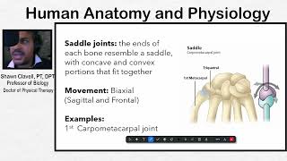 9 4 Synovial Joints part 2 [upl. by O'Callaghan434]