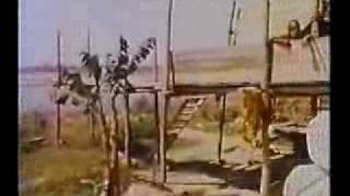 250 Year Old Devraha Baba of Vrindavan Very Rare Footage [upl. by Quickel811]