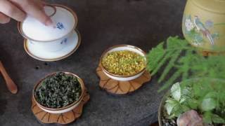 Osmanthus Oolong Tea Recipe  Sweet Osmanthus  Teasenz [upl. by Zwiebel]