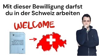 Arbeiten in der Schweiz 📄 Diesen Ausländerausweis brauchst du [upl. by Ynnaj305]