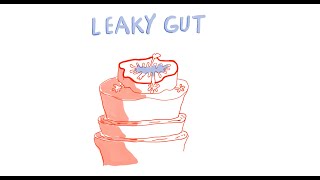 What is Leaky Gut and How to Manage It [upl. by Enair]