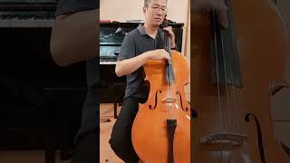 Day 4 Bach Suite No1 in G major for Cello  Courante Pizzicato bar 815 practice [upl. by Thury]