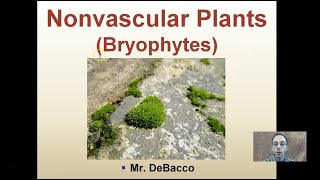 Nonvascular Plants [upl. by Yancy]